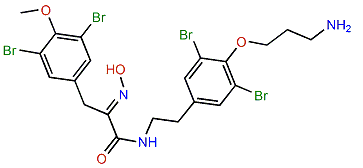 Aplysamine 4